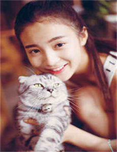 功夫熊猫2百度影音,24小时免费看视频打扑克