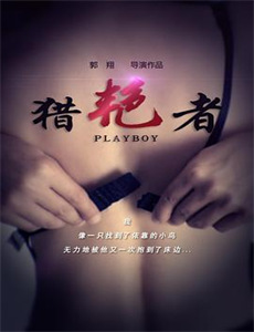 地平线系列:猫咪观察