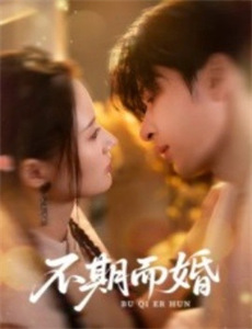 总裁上司竟是闪婚对象误入婚途