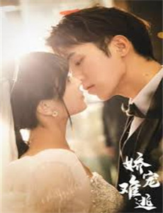 黄飞鸿与林世荣