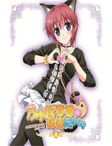 疯狂的兔子:入侵 第二季